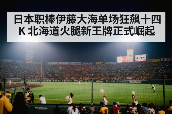 日本职棒伊藤大海单场狂飙十四K 北海道火腿新王牌正式崛起