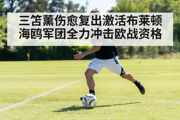 三笘薰伤愈复出激活布莱顿 海鸥军团全力冲击欧战资格