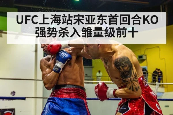boxing knockout punch